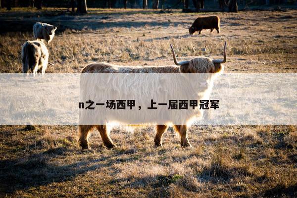 n之一场西甲，上一届西甲冠军