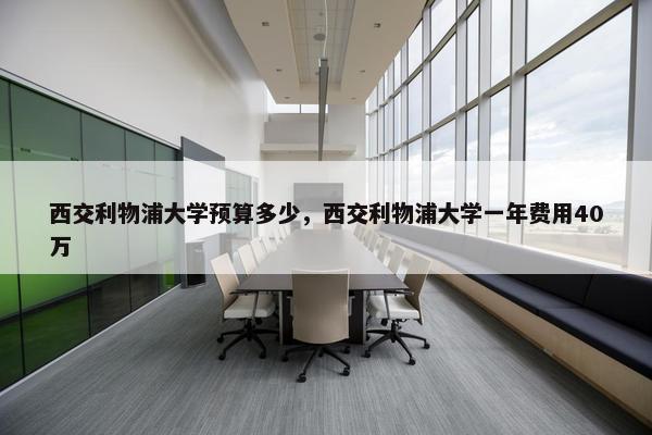 西交利物浦大学预算多少，西交利物浦大学一年费用40万