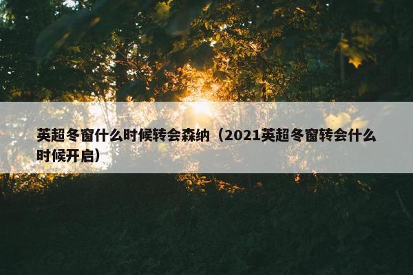 英超冬窗什么时候转会森纳（2021英超冬窗转会什么时候开启）