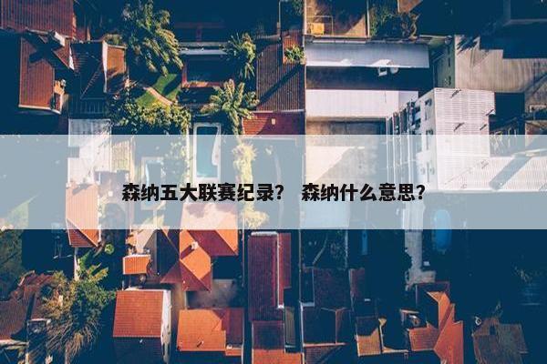 森纳五大联赛纪录？ 森纳什么意思？