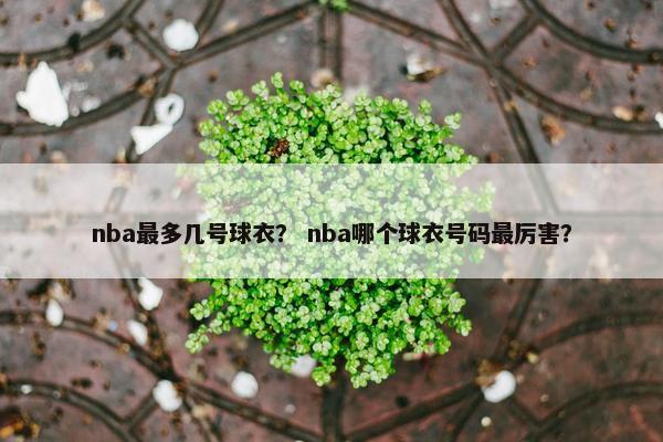 nba最多几号球衣？ nba哪个球衣号码最厉害？
