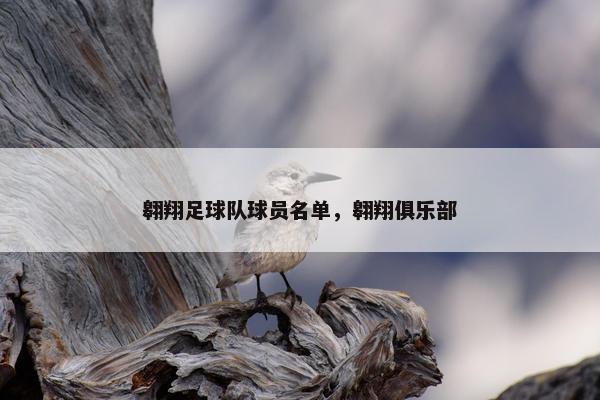翱翔足球队球员名单，翱翔俱乐部
