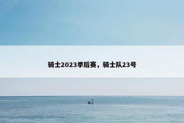 骑士2023季后赛，骑士队23号