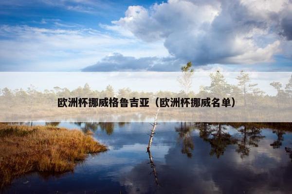 欧洲杯挪威格鲁吉亚（欧洲杯挪威名单）