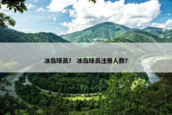 冰岛球员？ 冰岛球员注册人数？
