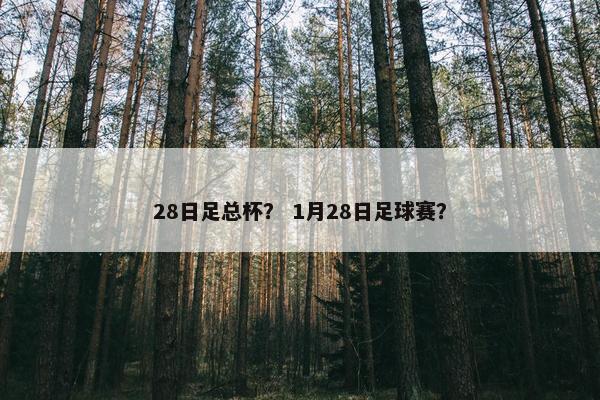 28日足总杯？ 1月28日足球赛？