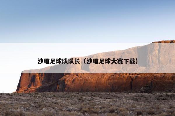 沙雕足球队队长（沙雕足球大赛下载）
