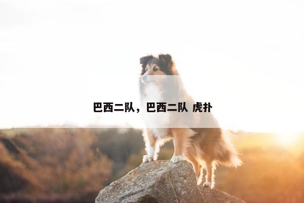 巴西二队，巴西二队 虎扑
