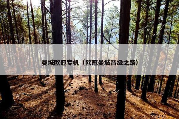 曼城欧冠专机（欧冠曼城晋级之路）