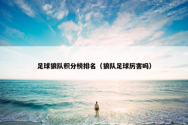 足球狼队积分榜排名（狼队足球厉害吗）