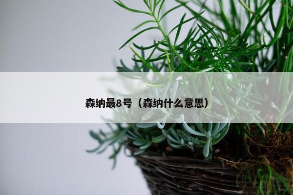 森纳最8号（森纳什么意思）