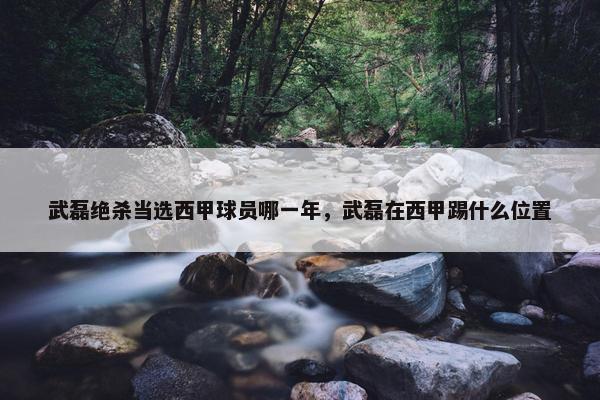 武磊绝杀当选西甲球员哪一年，武磊在西甲踢什么位置