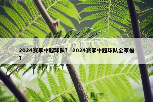 2024赛季中超球队？ 2024赛季中超球队全家福？