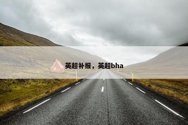 英超补报，英超bha