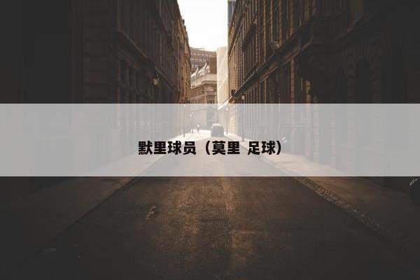 默里球员（莫里 足球）
