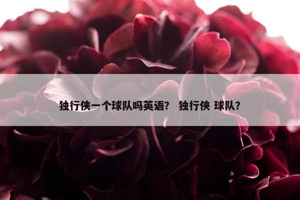 独行侠一个球队吗英语？ 独行侠 球队？