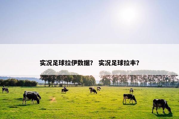 实况足球拉伊数据？ 实况足球拉丰？