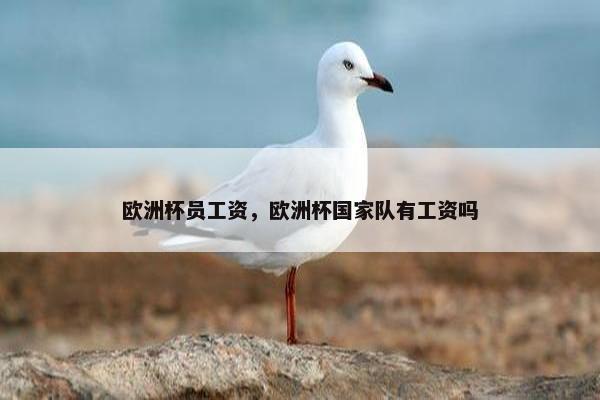 欧洲杯员工资，欧洲杯国家队有工资吗
