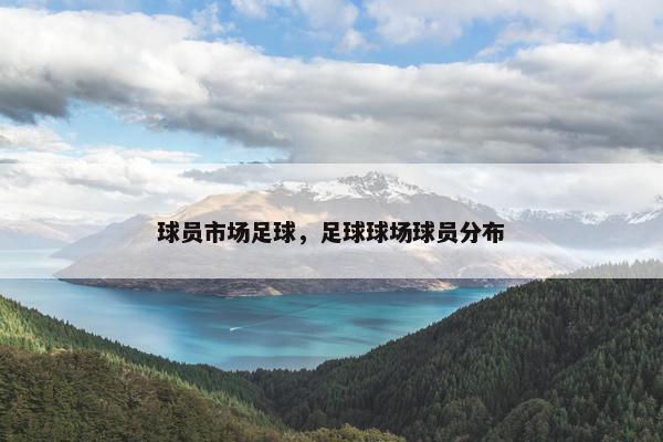 球员市场足球，足球球场球员分布