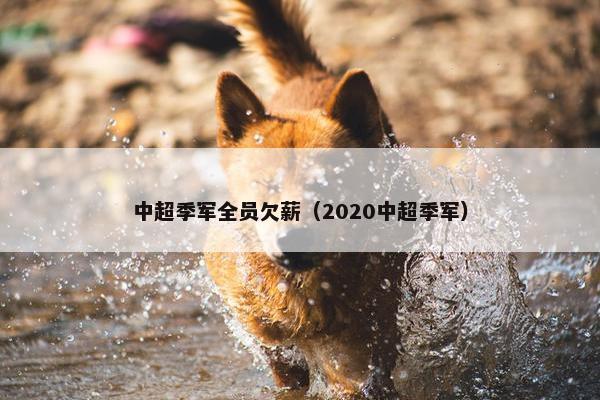 中超季军全员欠薪（2020中超季军）