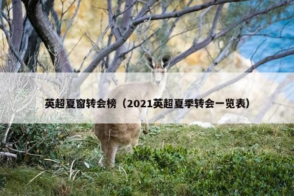 英超夏窗转会榜（2021英超夏季转会一览表）