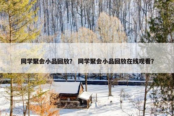 同学聚会小品回放？ 同学聚会小品回放在线观看？
