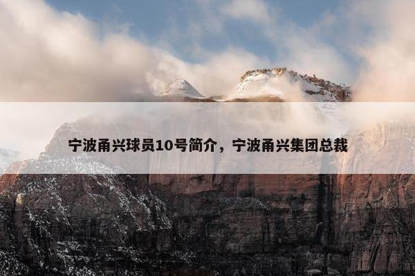 宁波甬兴球员10号简介，宁波甬兴集团总裁