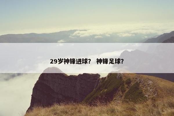 29岁神锋进球？ 神锋足球？