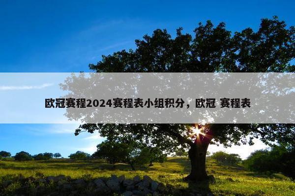欧冠赛程2024赛程表小组积分，欧冠 赛程表