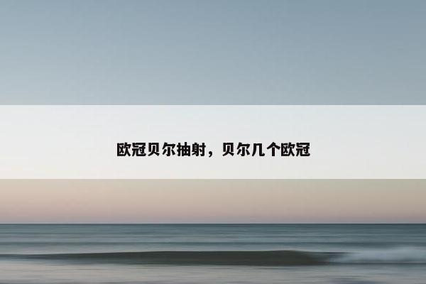 欧冠贝尔抽射，贝尔几个欧冠