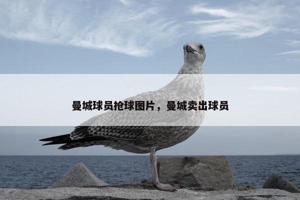 曼城球员抢球图片，曼城卖出球员