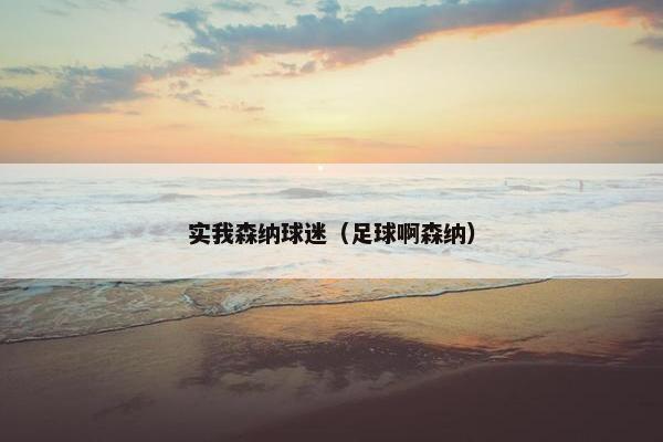 实我森纳球迷（足球啊森纳）