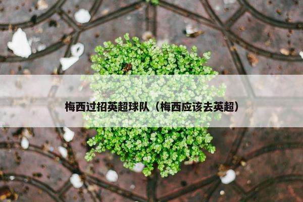 梅西过招英超球队（梅西应该去英超）