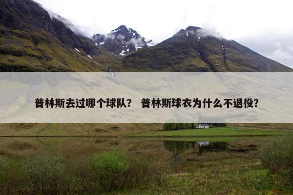 普林斯去过哪个球队？ 普林斯球衣为什么不退役？