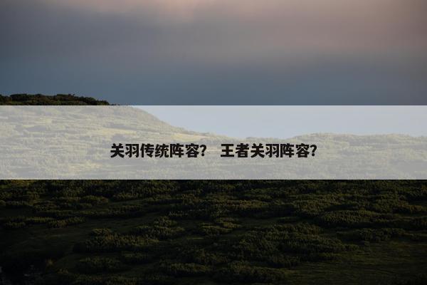 关羽传统阵容？ 王者关羽阵容？