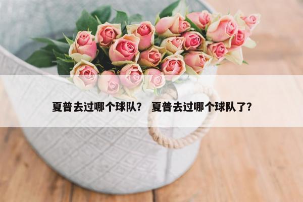 夏普去过哪个球队？ 夏普去过哪个球队了？