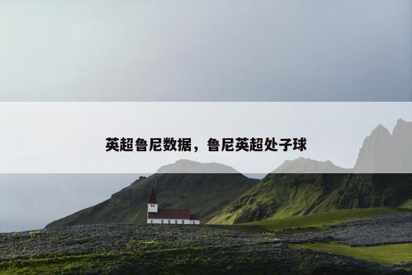英超鲁尼数据，鲁尼英超处子球