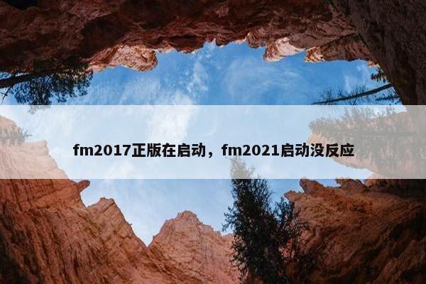 fm2017正版在启动，fm2021启动没反应