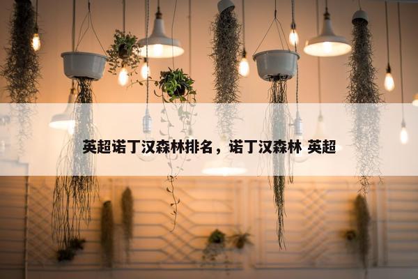 英超诺丁汉森林排名，诺丁汉森林 英超