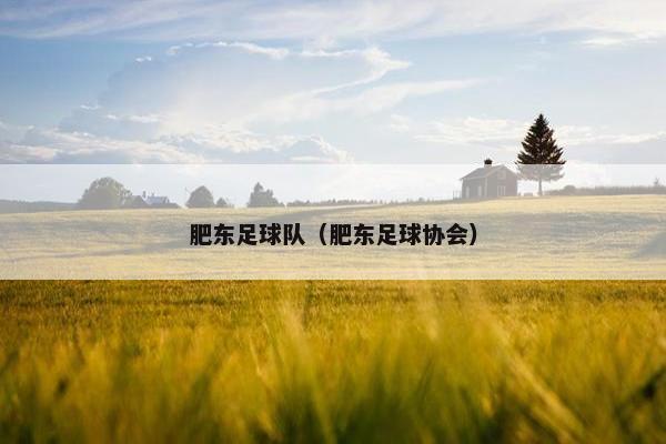 肥东足球队（肥东足球协会）