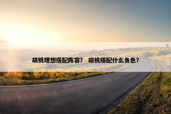 胡桃理想搭配阵容？ 胡桃搭配什么角色？