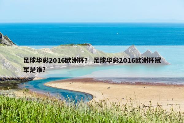 足球华彩2016欧洲杯？ 足球华彩2016欧洲杯冠军是谁？
