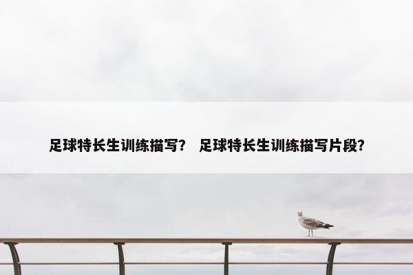足球特长生训练描写？ 足球特长生训练描写片段？