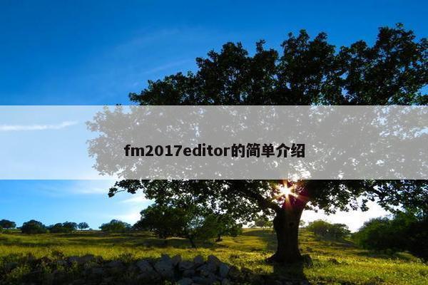 fm2017editor的简单介绍