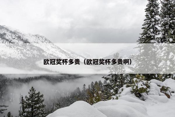欧冠奖杯多贵（欧冠奖杯多贵啊）
