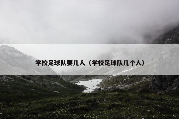 学校足球队要几人（学校足球队几个人）