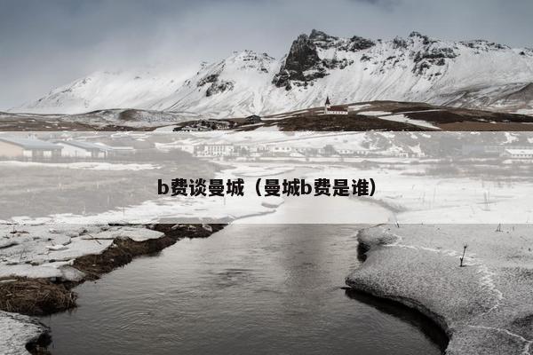 b费谈曼城（曼城b费是谁）