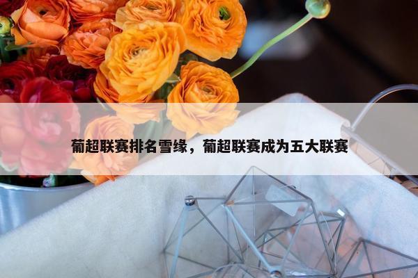 葡超联赛排名雪缘，葡超联赛成为五大联赛