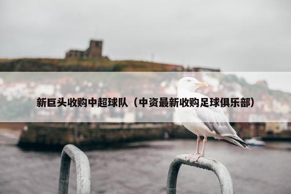 新巨头收购中超球队（中资最新收购足球俱乐部）
