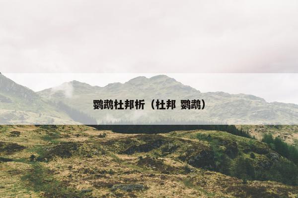 鹦鹉杜邦析（杜邦 鹦鹉）